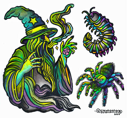 Wizard &amp; Bugs